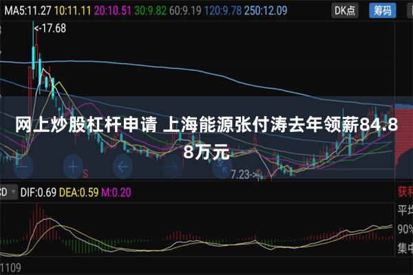 网上炒股杠杆申请 上海能源张付涛去年领薪84.88万元