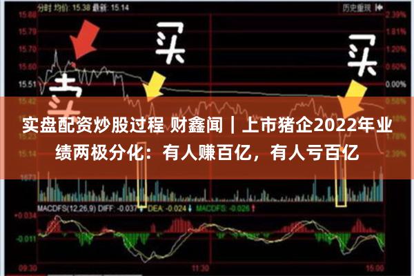 实盘配资炒股过程 财鑫闻｜上市猪企2022年业绩两极分化：有人赚百亿，有人亏百亿